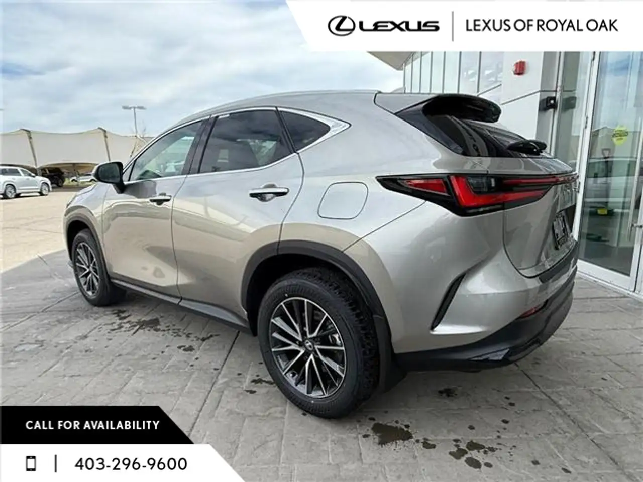 Lexus NX photo Lexus NX