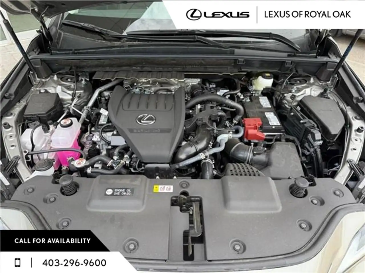Lexus NX photo Lexus NX