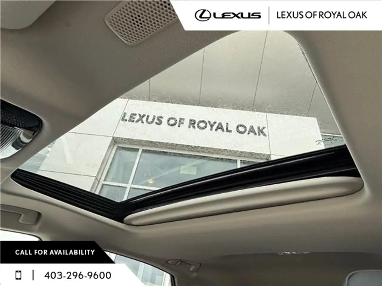 Lexus NX photo Lexus NX
