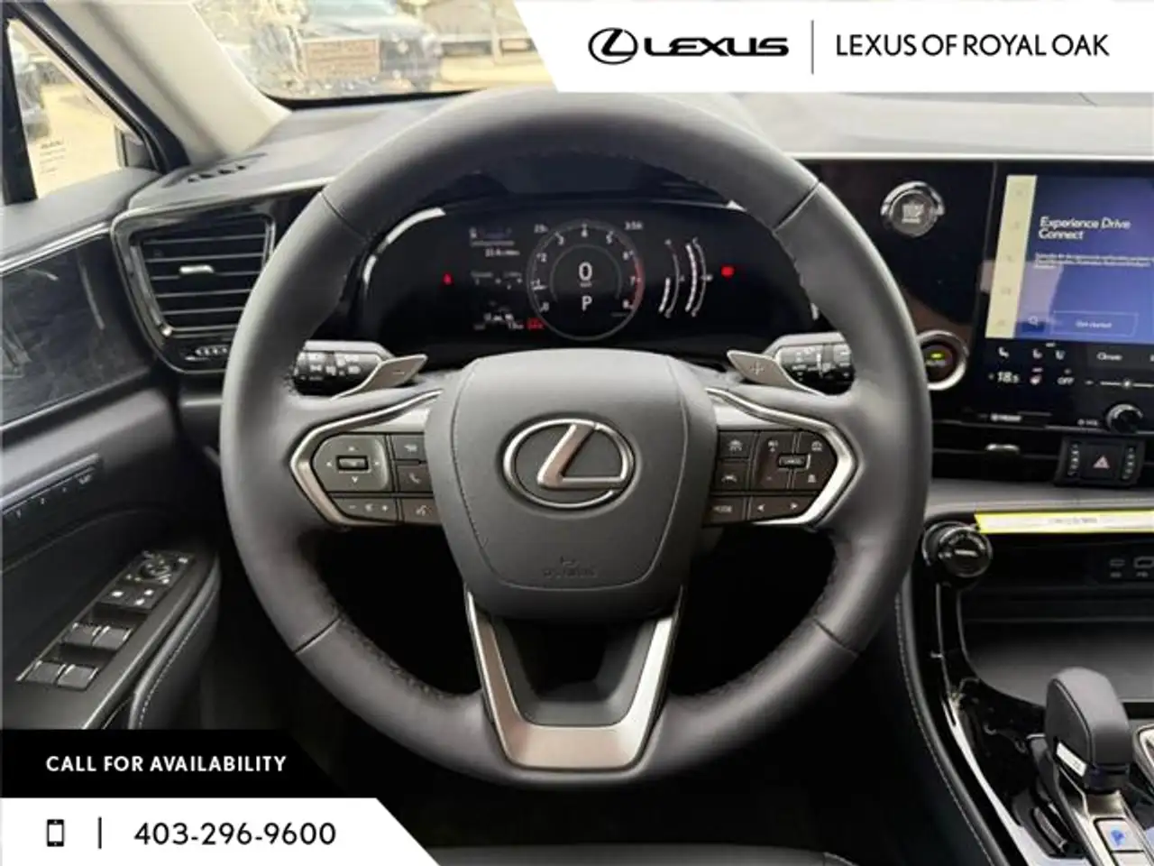 Lexus NX photo Lexus NX