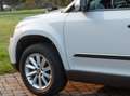 Skoda Yeti Yeti 2014 1.2 tsi Easy 110cv E6 Bianco - thumbnail 15