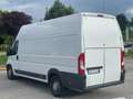 Fiat Ducato MAXI 35 XLH3 2.3 Multijet 130CV Bianco - thumbnail 13