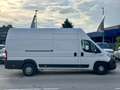 Fiat Ducato MAXI 35 XLH3 2.3 Multijet 130CV Bianco - thumbnail 10