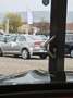 CUPRA Terramar 1.5eTS IDSG HeadUp|Sennh|FullLink Violett - thumbnail 12