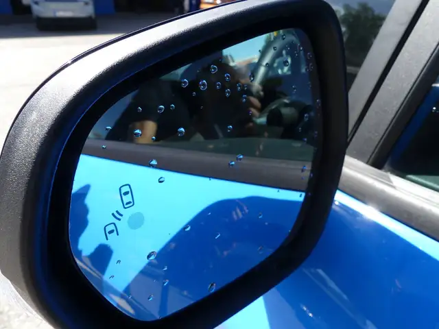 Ford Fiesta view 10