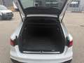 Audi A4 Avant 40 TDI#QUATTRO#Virtual#Black and White#Optik Weiß - thumbnail 10
