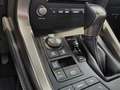 Lexus NX 300 300h Premium 2WD Gris - thumbnail 14