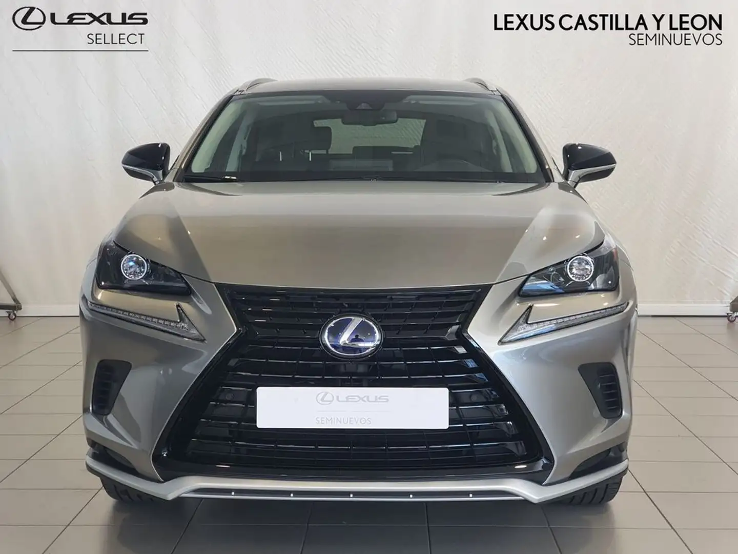 Lexus NX 300 300h Premium 2WD Gris - 2