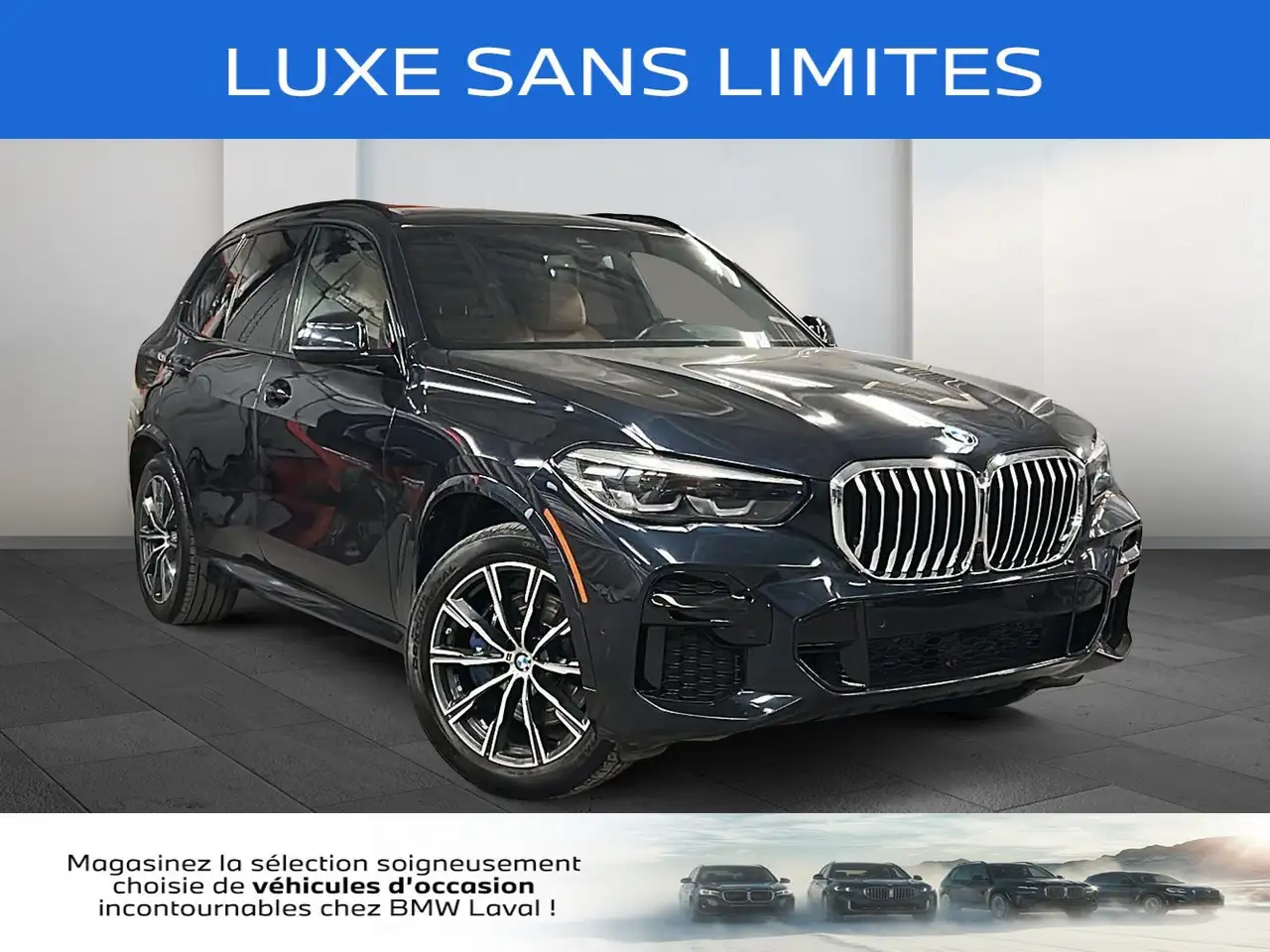 2023 BMW X5