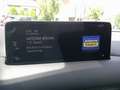 Mazda CX-5 SKYACTIV 194 FWD Advantage NAVI/360°/AHK/HUD Rot - thumbnail 9