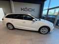 Skoda Octavia Ambition Weiß - thumbnail 5