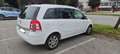 Opel Zafira 1.6 t. Edition (enjoy) ecoM 150cv - thumbnail 6