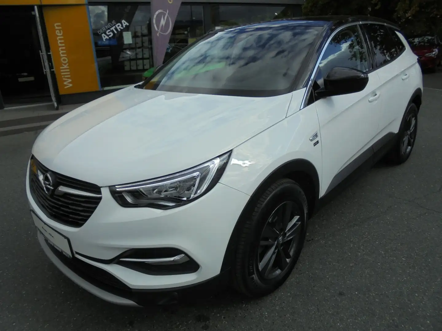 Opel Grandland Opel 2020+Winter-Paket+Kamera Weiß - 2
