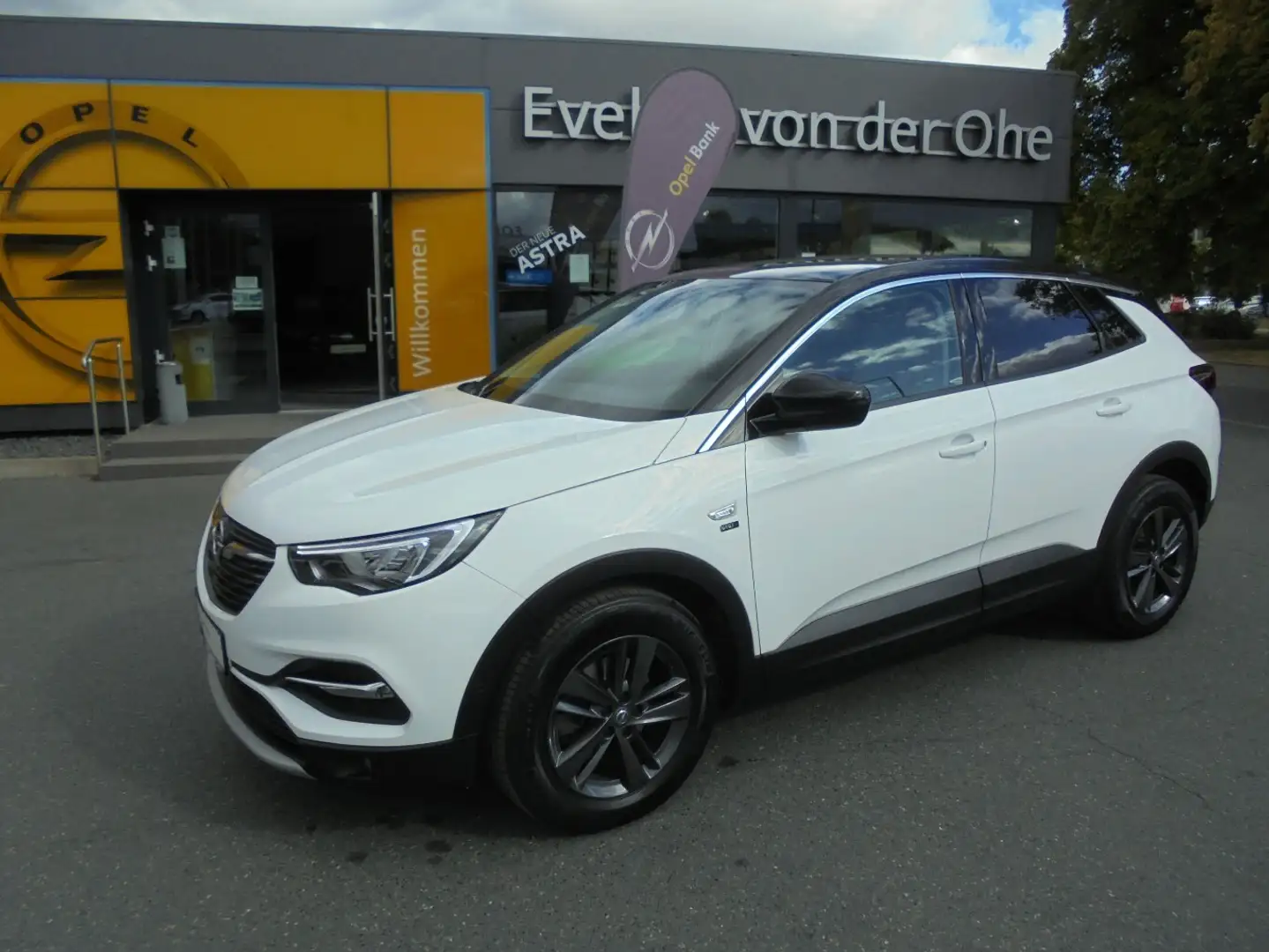 Opel Grandland Opel 2020+Winter-Paket+Kamera Wit - 2