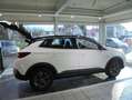 Opel Grandland Opel 2020+Winter-Paket+Kamera Wit - thumbnail 1