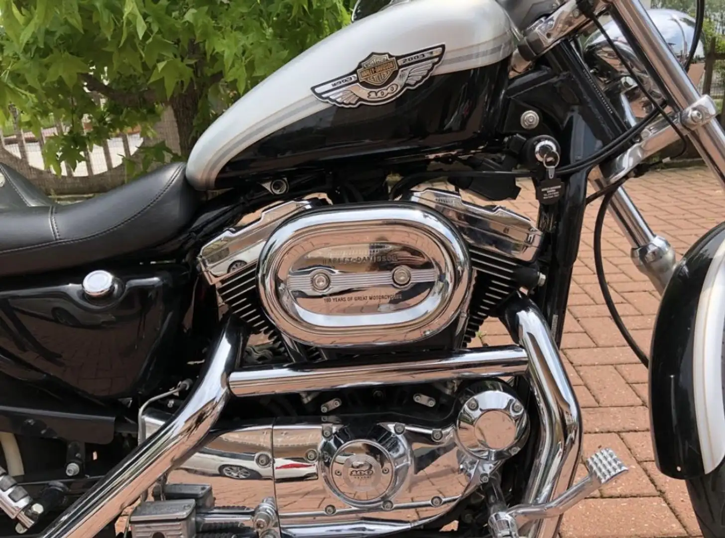 Harley-Davidson Sportster 1200 Srebrny - 2