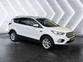Ford Kuga 1.5L Titanium | Erstbesitz | AHK | Servicegepflegt Weiß - thumbnail 7