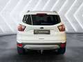 Ford Kuga 1.5L Titanium | Erstbesitz | AHK | Servicegepflegt Weiß - thumbnail 4