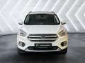Ford Kuga 1.5L Titanium | Erstbesitz | AHK | Servicegepflegt Weiß - thumbnail 8