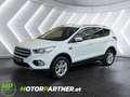 Ford Kuga 1.5L Titanium | Erstbesitz | AHK | Servicegepflegt Weiß - thumbnail 1