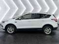 Ford Kuga 1.5L Titanium | Erstbesitz | AHK | Servicegepflegt Weiß - thumbnail 2