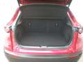 Mazda CX-30 G122 Comfort+ Style Rot - thumbnail 6