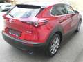Mazda CX-30 G122 Comfort+ Style Rot - thumbnail 4