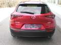Mazda CX-30 G122 Comfort+ Style Rot - thumbnail 5