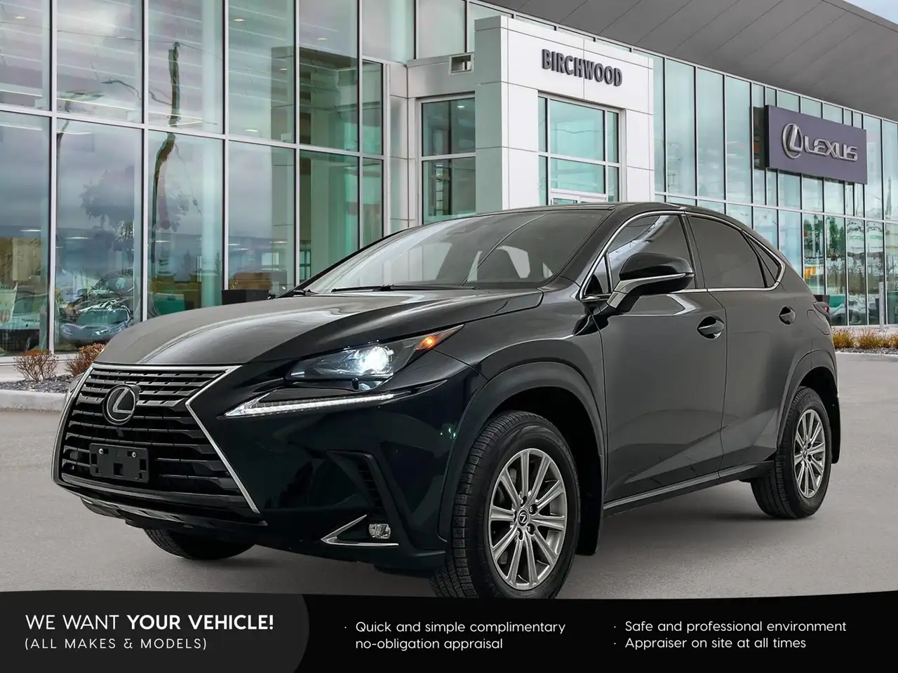 2021 Lexus NX