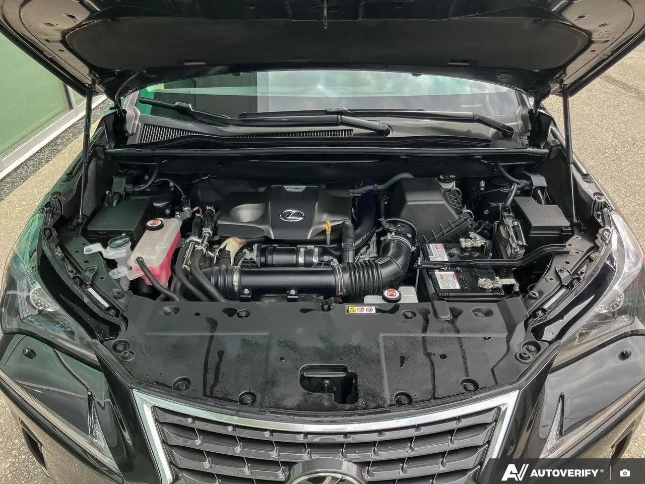 Lexus NX photo Lexus NX