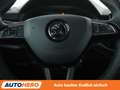 Skoda Scala 1.6 TDI Ambition Aut.*NAVI*TEMPO*PDC*SHZ* Blau - thumbnail 19