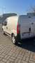 Fiat Qubo fiorino 1.3 mjt 80 cv AUTOCARRO N1 Argento - thumbnail 2