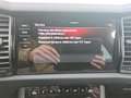 Skoda Kodiaq RS 4x4 STDHZ+360KAM+elHK+ACC+TOTWKL+MATRX Klima Grau - thumbnail 16