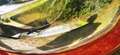Mercedes-Benz E 400 E 400 Aut. Rot - thumbnail 27