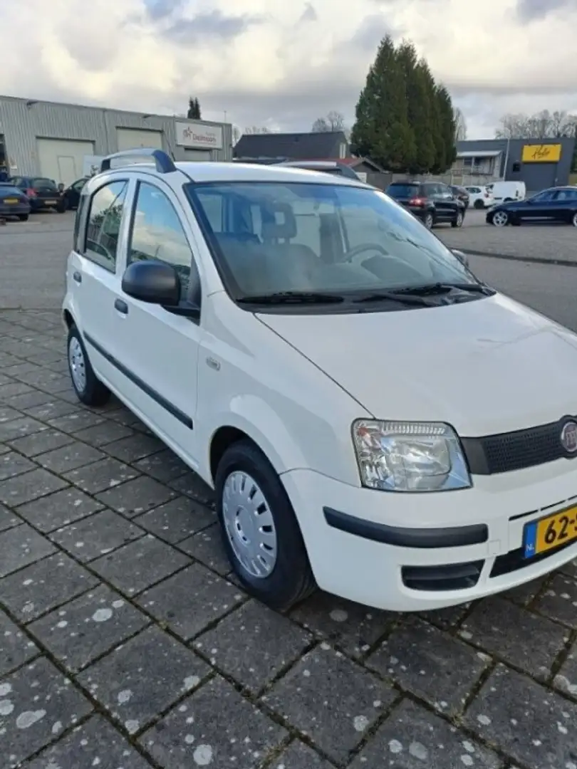 Fiat Panda 1.2 ACTIVE Blanc - 1
