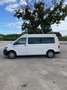 Volkswagen T6 Transporter kombi 4motion Bianco - thumbnail 2