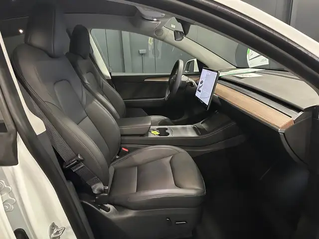 Tesla Model Y view 10