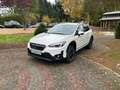 Subaru XV 1.6i EDITION Comfort plus Lineartr. 4WD Weiß - thumbnail 1