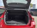 Opel Astra GS 1.2 Turbo Automatik Bluetooth Head Up Display Rot - thumbnail 19