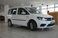 Volkswagen Caddy 1.5 TGI TRENDLINE 5-SITZ KLIMA/SH/TEMP/PDC Blanco - thumbnail 4