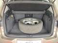 Volkswagen Tiguan Sport 2.0 TDI Aut. #4Motion*NAVI*PANO*LEDER*SR+WR* bež - thumbnail 4