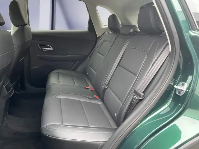 MG MG ZS view 9