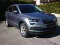 Skoda Karoq Ambition Limited 4x4 Grau - thumbnail 7