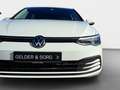 Volkswagen Golf 2.0 TDI United LED*AHK*Navi*Standh. Weiß - thumbnail 12