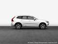 Volvo XC60 B4 D Plus Dark FA-Paket Winterpak Harman Kard bijela - thumbnail 4