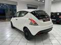 Lancia Ypsilon 1.2 Elefantino Blu s&s 69cv my19 - thumbnail 5