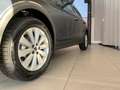 SEAT Arona Reference Edition 1.0 TSI Grau - thumbnail 3