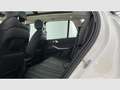BMW X5 xDrive 30dA Weiß - thumbnail 13