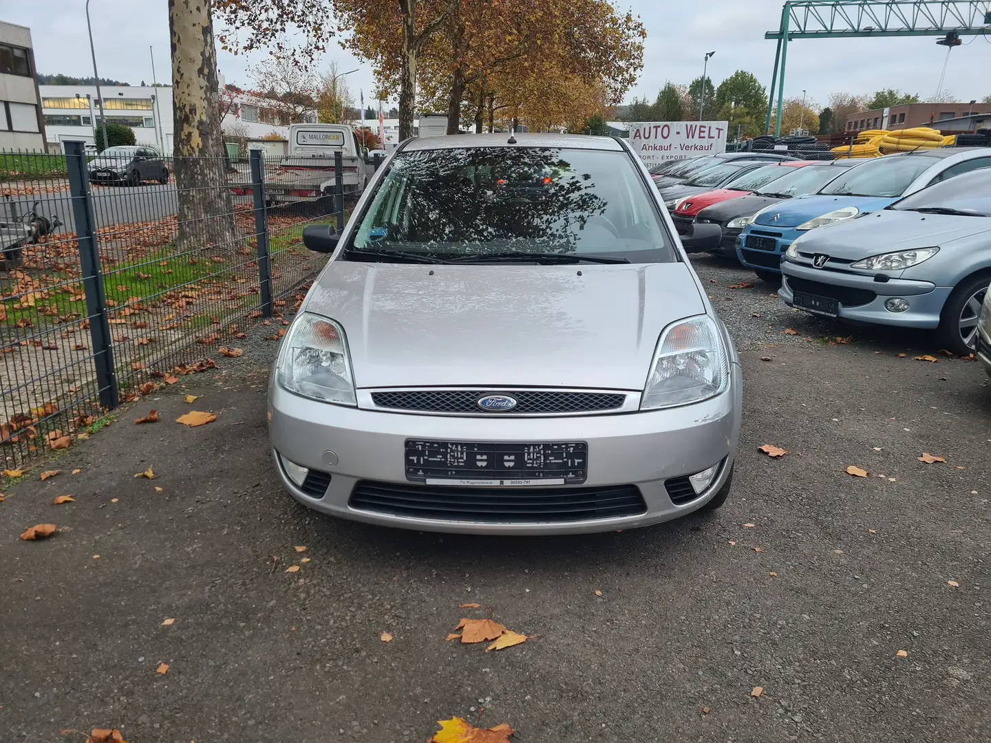 Ford Fiesta 1.4 Ghia Argento - 1