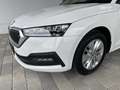 Skoda Octavia Combi 2,0 TDI Amb.-NAVI-VIRTUAL-SHZ-TEMPOMAT-AM... Weiß - thumbnail 6